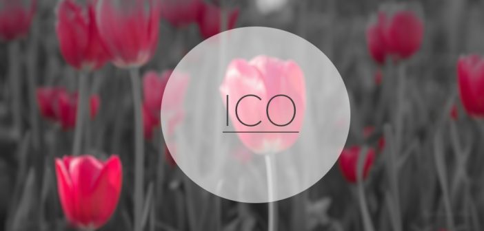 ICO, инвестор